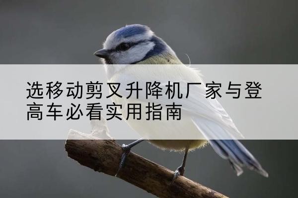 垫江电动升降机厂家-选移动剪叉升降机厂家与登高车必看实用指南