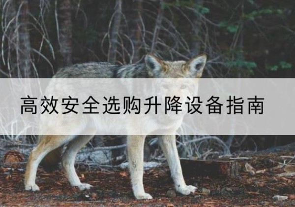 垫江升降货梯厂家推荐-*安全选购升降设备指南